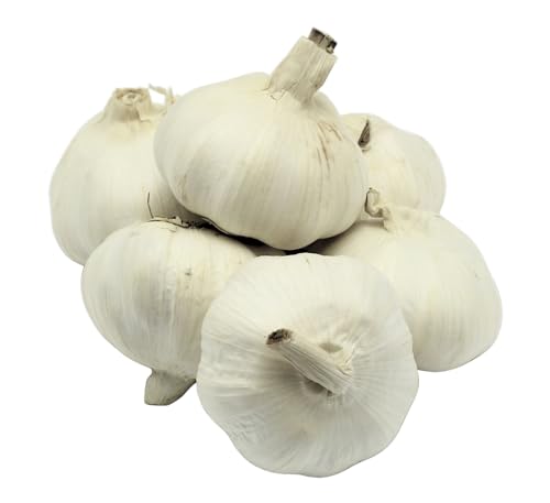 Knoblauch aus Spanien -500g - Knoblauch Weiß Garlic von Bamelo