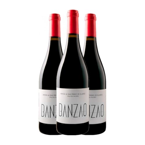 Banzao Vino de Villa Mencía Bierzo 75 cl Rotwein (Karton mit 3 Flaschen von 75 cl) von Banzao