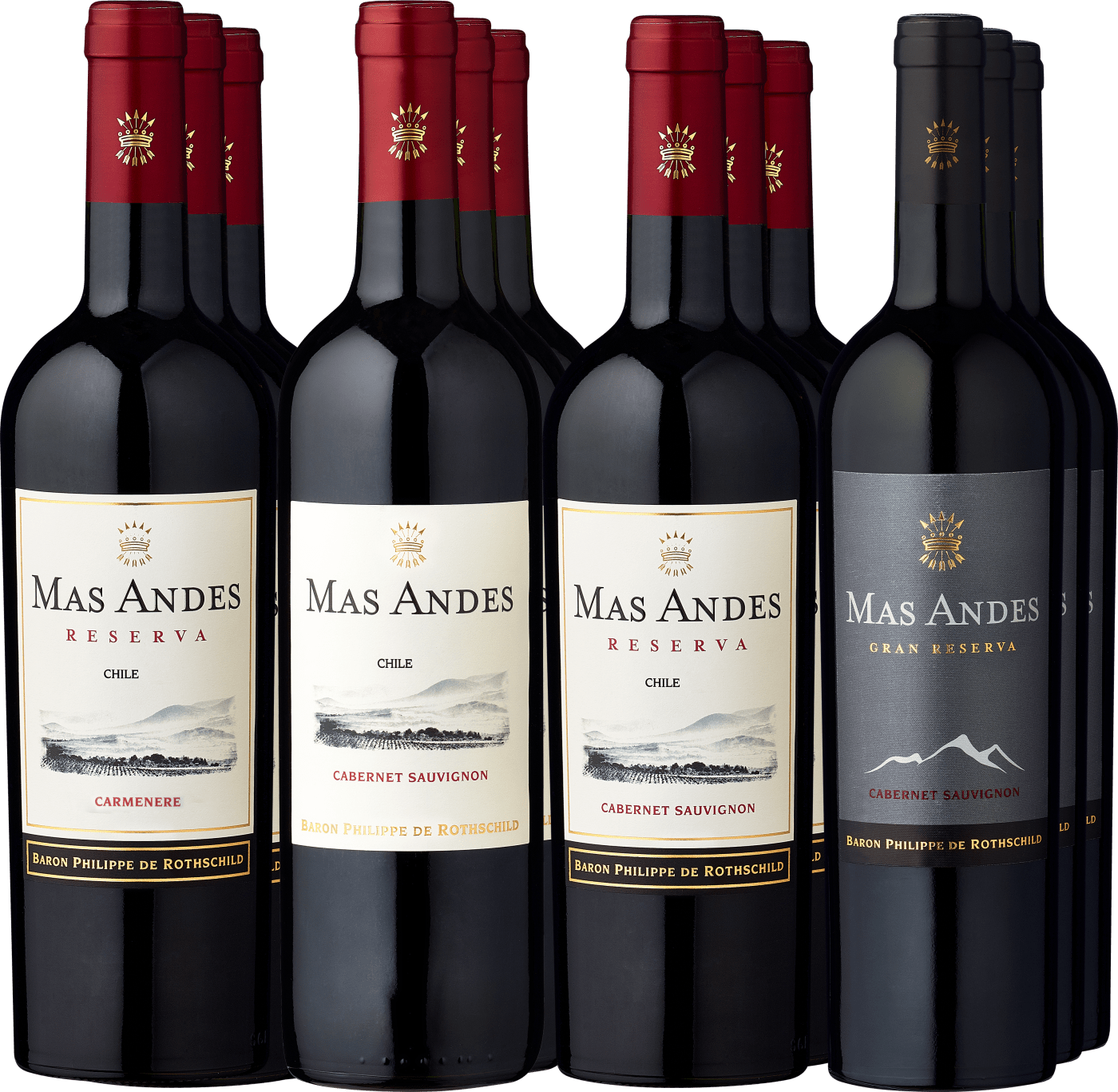 12er-Probierpaket »Edle Rothschild Mas Andes-Entdeckungen« von Baron Philippe de Rothschild - Chile