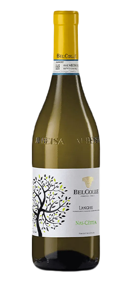 Langhe DOC Nascetta 2023 von Belcolle