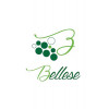 Bellese Vini  5+1 Paket Merlot Marca Trevigiana IGP von Bellese Vini