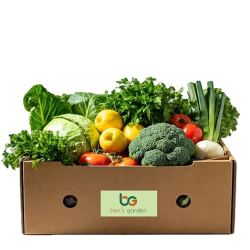 Ben's Garden Frische Gemüsekiste - Gemüsebox - 4 kg - Saisonales Gemüse - Ideal für die ganze Familie - Vitamine & Nährstoffe für eine gesunde Ernährung von Ben's Garden