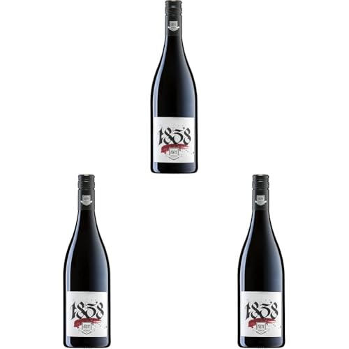 Nett - 1838 Rotwein Cuvée trocken (1x 0,75l) (Packung mit 3) von Bergdolt-Reif & Nett