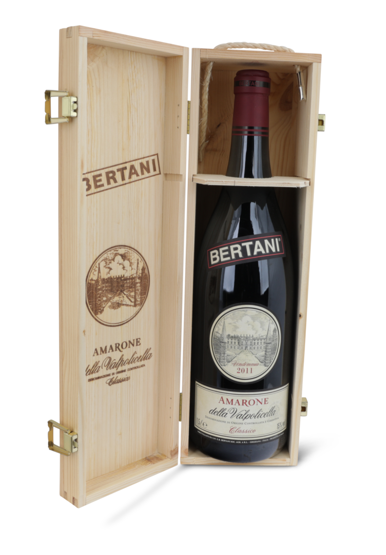 2011 Amarone della Valpolicella DOCG Classico von Bertani Domains