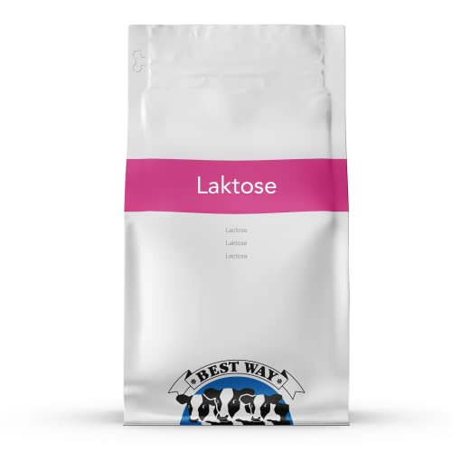 Best Way | 25 KG | Laktose | Geeignet als Zutat für Backen, Schokolade und Eis | Wiederverschließbare Verpackung | Für viele Anwendungsmöglichkeiten geeignet | Laktosepulver von Best Way