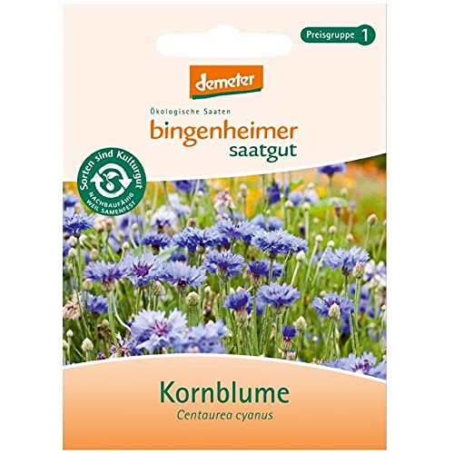 Kornblume von Bingenheimer Saatgut AG