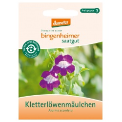 Kletterlöwenmäulchen (Auslaufartikel) von Bingenheimer Saatgut