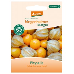 Physalis Schönbrunner Gold von Bingenheimer Saatgut