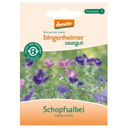 Schopfsalbei von Bingenheimer Saatgut