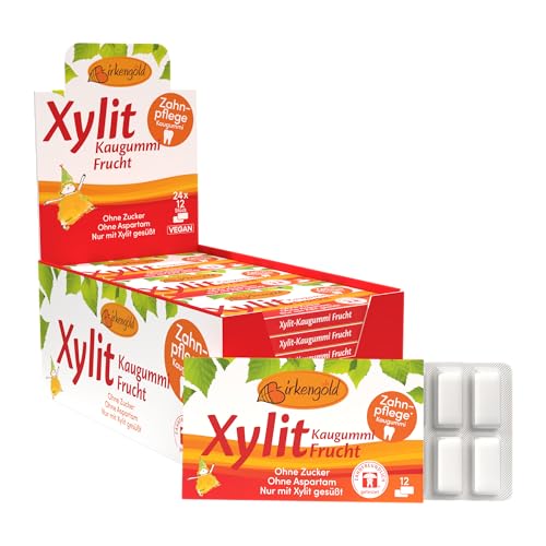 Birkengold Xylit Kaugummi Frucht | 24 Stk. Blister | Zahnpflege-Kaugummi | zuckerfrei | hoher Xylit-Anteil 70% | vegan | ohne Titandioxid | ohne Aspartam | ohne Zucker von Birkengold