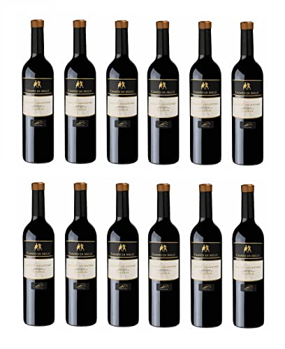 12x 0,75l - 2018er - Biscardi - Casato di Melzi - Salice Salentino Riserva D.O.P. - Apulien - Italien - Rotwein trocken von Biscardo Vini