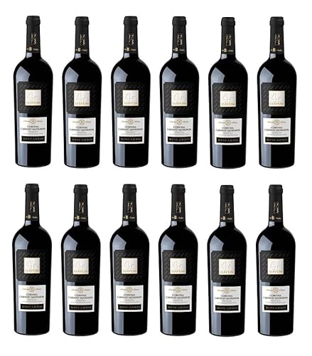 12x 0,75l - 2020er - Biscardi - Mavum - Rosso - Corvina & Cabernet Sauvignon - Veneto I.G.P. - Italien - Rotwein trocken von Biscardo Vini