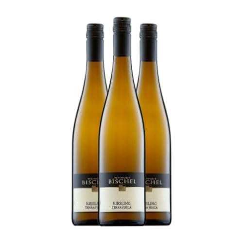 Bischel Terra Fusca Riesling Trocken Rheinhessen 75 cl Weißwein (Karton mit 3 Flaschen von 75 cl) von Bischel