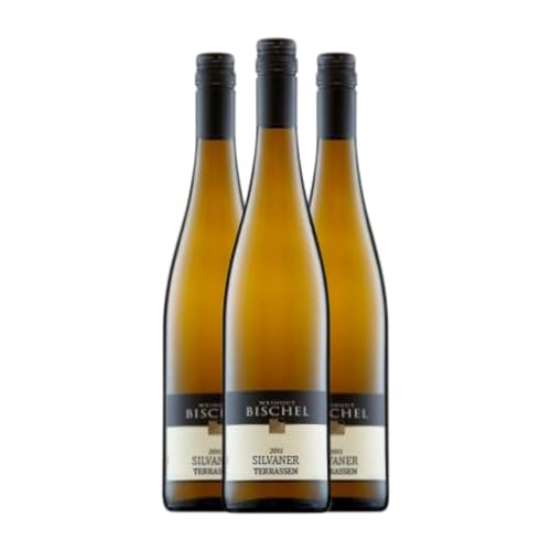 Bischel Terrassen Sylvaner Trocken Rheinhessen 75 cl Weißwein (Karton mit 3 Flaschen von 75 cl) von Bischel