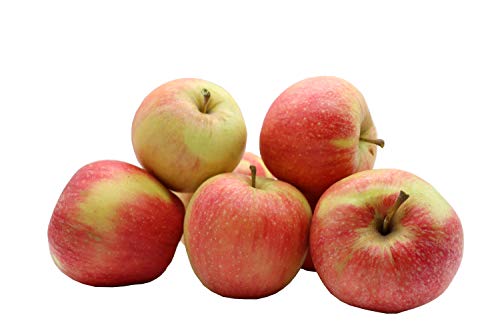 BLEICHHOF® Äpfel Pinova – süß-säuerliche Kreuzung aus Golden Delicious und Clivia, Neue Ernte (5kg) von Bleichhof