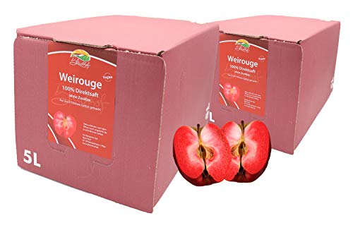 BLEICHHOF® Apfelsaft Weirouge - Direktsaft, vegan, Bag-in-Box (2x5l) von Bleichhof