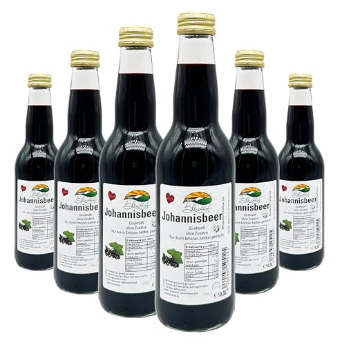 BLEICHHOF® Schwarzer Johannisbeersaft - Direktsaft, vegan (6x0,3l) von Bleichhof