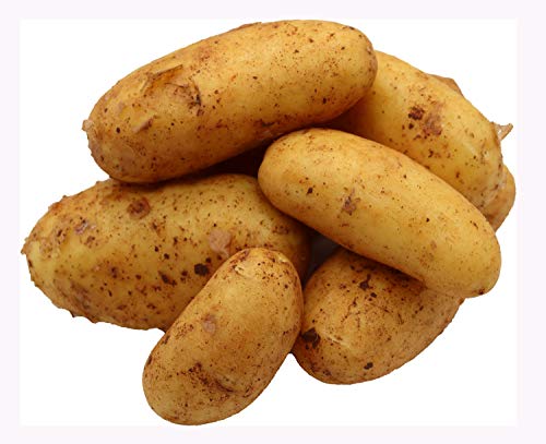 Bleichhof 5kg Ernte 2024 Annabelle Kartoffeln aus der Pfalz - Sorte: Annabelle festkochend Salatkartoffel von Bleichhof