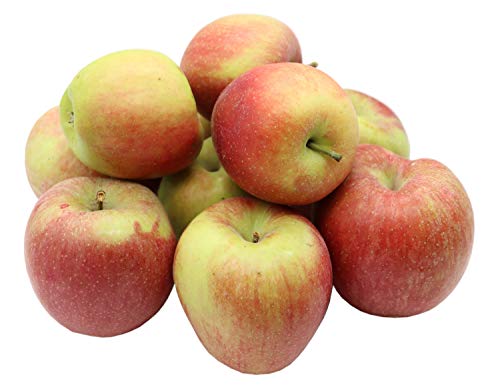 Bleichhof Äpfel Braeburn - süß-herbe knackige Sorte aus der Pfalz (3kg) von Bleichhof