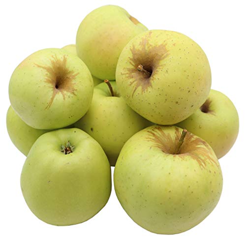 Bleichhof Äpfel Golden Delicious - süßaromatische Sorte aus der Pfalz (10kg) Neue Ernte von Bleichhof