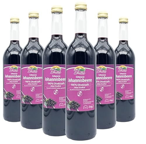 Bleichhof Schwarzer Johannisbeersaft - 100% Direktsaft, vegan, OHNE Zuckerzusatz, 6er Pack (6x 0,72l) von Bleichhof