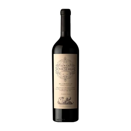 Aleanna Gran Enemigo El Cepillo Cabernet Franc Mendoza 75 cl Rotwein von Bodega Aleanna