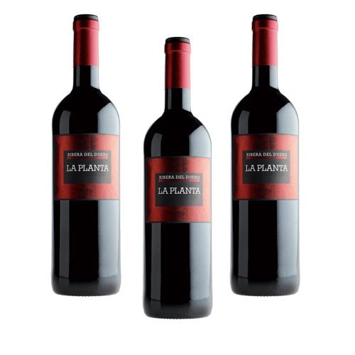 La Planta Tempranillo 2015/2016 Trocken (3 x 0.75 l) von Bodega Arzuaga Navarro