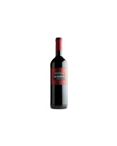 Vino Tinto Arzuaga "la Planta" Magnum 1,5 Litros von Cosecha Privada