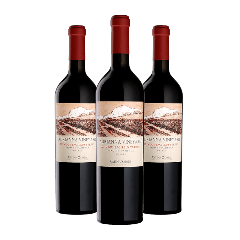 Bodega Catena Zapata : "Adrianna Mundus Bacillus Terrae" Malbec 2020 von Bodega Catena Zapata