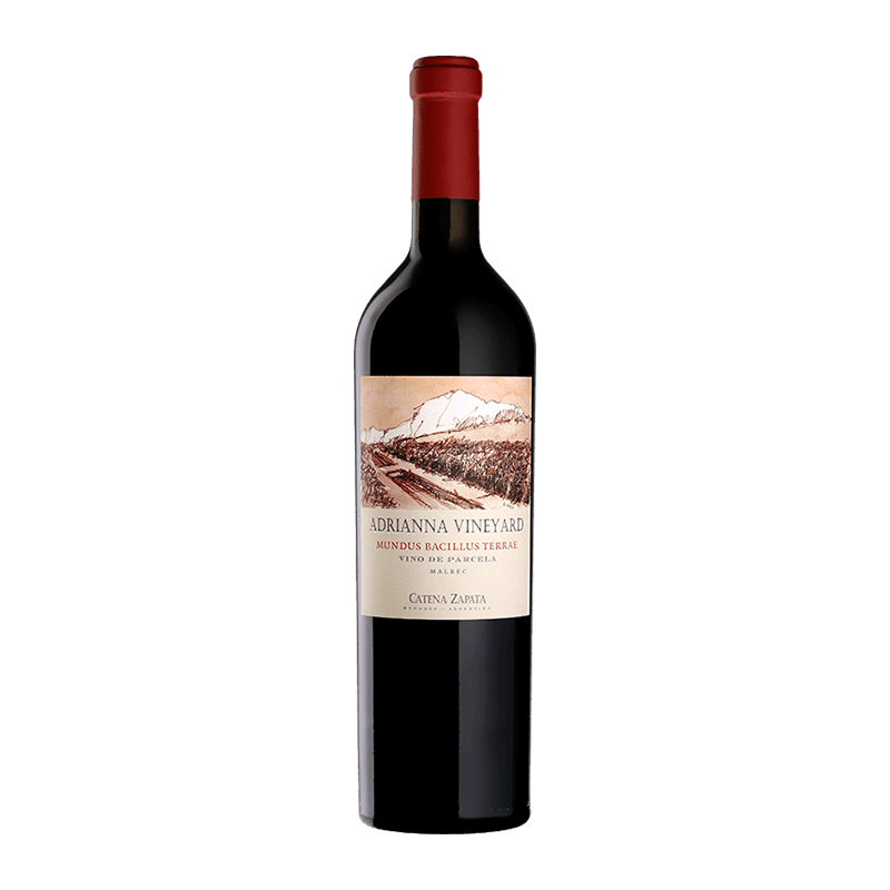 Bodega Catena Zapata : "Adrianna Mundus Bacillus Terrae" Malbec 2021 von Bodega Catena Zapata