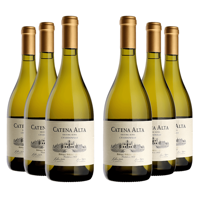 Bodega Catena Zapata : "Catena Alta" Chardonnay 2022 von Bodega Catena Zapata