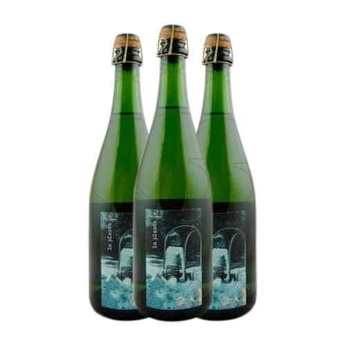 Mas Gomà La Planta Tèrbol Brut Natur 75 cl Weißer Sekt (Karton mit 3 Flaschen von 75 cl) von Bodega Celler Mas Gomà 1724