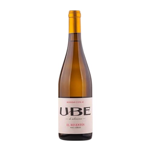 Cota 45 UBE El Reventón Palomino Fino Magnum-Flasche 1,5 L Weißwein von Bodega Cota 45