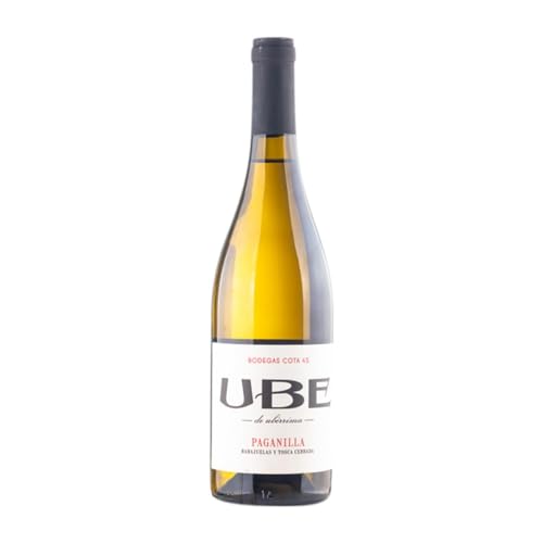 Cota 45 UBE Paganilla Palomino Fino Magnum-Flasche 1,5 L Weißwein von Bodega Cota 45