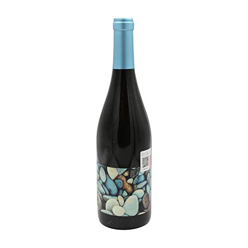 Bodega Estancia Piedra CANTADAL Joven Tinto Toro DO 2019 Piedra (1 x 0.75 l) von Bodega Estancia Piedra