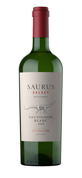 Saurus Select Sauvignon blanc 2022 von Bodega Familia Schroeder