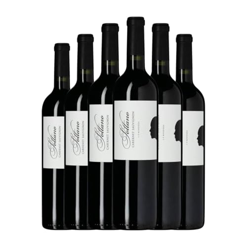 Sottano Cabernet Sauvignon Mendoza 75 cl Rotwein (Karton mit 6 Flaschen von 75 cl) von Bodega Sottano