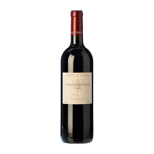 Tomás Postigo 3er Año Ribera del Duero Magnum-Flasche 1,5 L Rotwein von Bodega Tomás Postigo