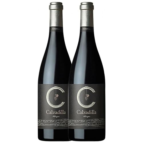 Uribes Madero Calzadilla Allegro Syrah Vino de Pago Calzadilla 75 cl (Schachtel mit 2 Flaschen von 75 cl) von Bodega y Viñedos Uribes Madero