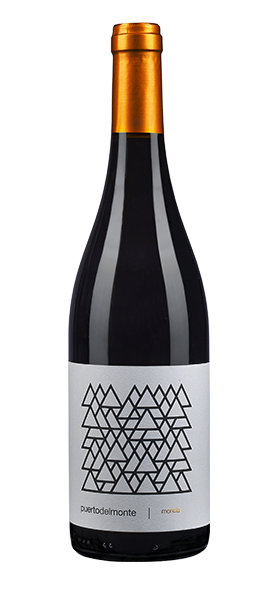 "Puerto del Monte" Mencia DO Bierzo von Bodegas AdriÃ¡