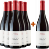 Aessir Bobal 2019 5+1 Aktionspaket Bobal Tinto von Bodegas Aessir Bobal