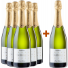 Aessir Cava 2019 5+1 Paket Cava La Crusset von Bodegas Aessir CAVA