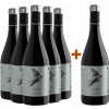 Alceño 2022 5+1 Paket Vuela Tempranillo Ribera del Duero von Bodegas Alceño