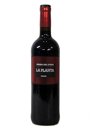 Bodegas Arzuaga-Navarro La Planta 2023 (1 x 0.75 l) von Bodegas Arzuaga-Navarro