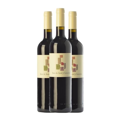 Azul y Garanza Seis Navarra Alterung 75 cl Rotwein (Karton mit 3 Flaschen von 75 cl) von Bodegas Azul y Garanza