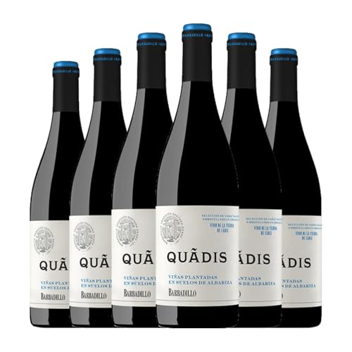 Barbadillo Quadis Vino de la Tierra de Cádiz Jung 75 cl Rotwein (Karton mit 6 Flaschen von 75 cl) von Bodegas Barbadillo