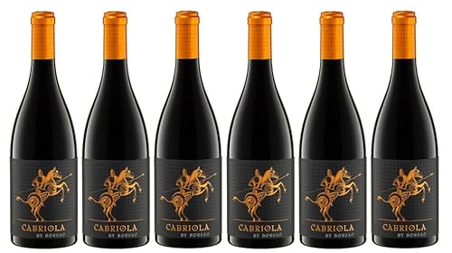 6x 0,75l - 2019er - Bodegas Borsao - Cabriola - Campo de Borja D.O.P. - Spanien - Rotwein trocken von Bodegas Borsao