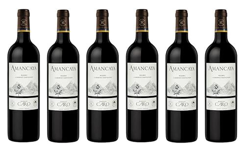 6x 0,75l - 2021er - Bodegas Caro - Amancaya - Malbec & Cabernet Sauvignon - Mendoza - Argentinien - Rotwein trocken von Bodegas Caro