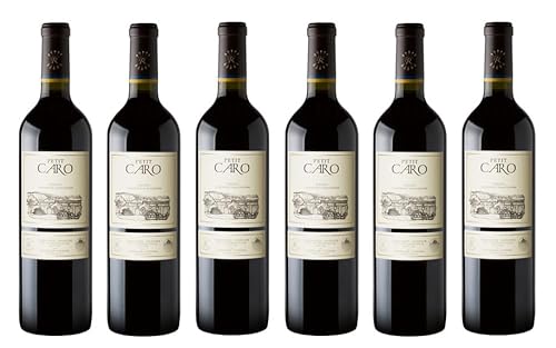 6x 0,75l - 2021er - Bodegas Caro - "Petit Caro" - Mendoza - Argentinien - Rotwein trocken von Bodegas Caro