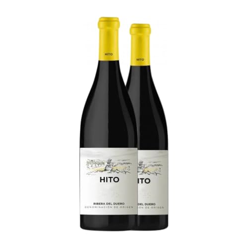 Cepa 21 Hito Tempranillo Ribera del Duero Magnum-Flasche 1,5 L Rotwein (Karton mit 2 Magnum-Flasche von 1,5 L) von Bodegas Cepa 21